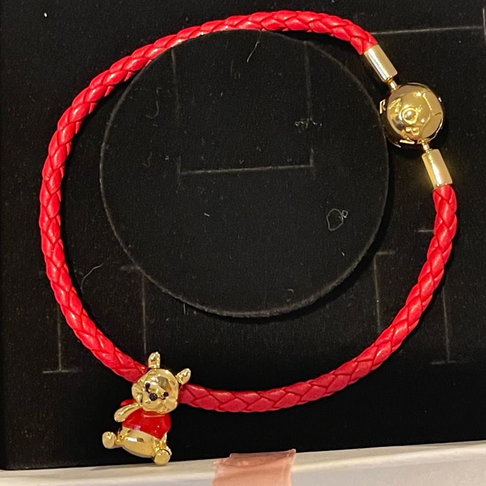Pandora bracelet and charm